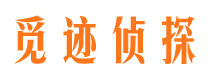 镇沅市侦探公司